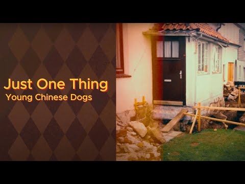 Young Chinese Dogs - Just One Thing (Lyric Video)
