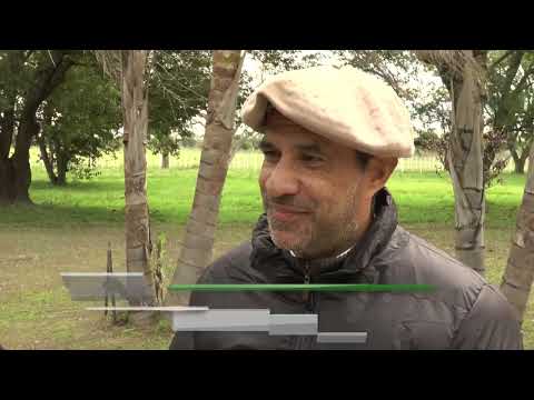 Agenda Ganadera - CAÁ CUPÉ 2025 - 15-8-25 B3