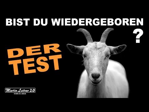 DER  TEST  |  Bist du wiedergeboren? | Willy Zorn