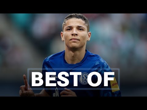 Amine Harit | Best of Goals & Assists | Hinrunde 2019/20 | FC Schalke 04