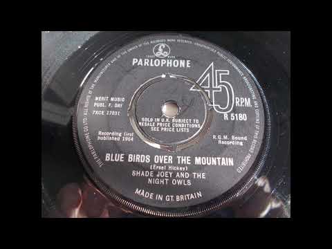 Shade Joey And The Night Owls -  Blue Birds Over The Mountain JOE MEEK RGM