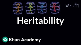 Heritability | Behavior | MCAT | Khan Academy