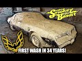 Smokey and The Bandit Trans AM Found ABANDONED in Barn For 30 YEARS ft. Legit Street Cars!