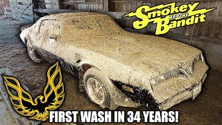Smokey and The Bandit Trans AM Found ABANDONED in Barn For 30 YEARS ft. Legit Street Cars!