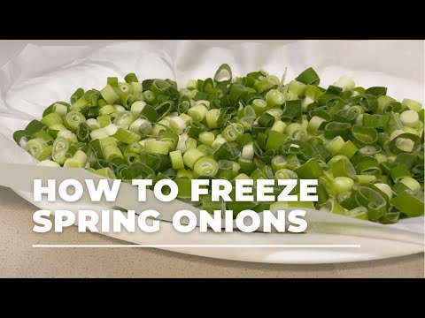 How to Freeze Spring Onions - No More Wastage - Money Saving Tip!
