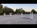 Cheval 9 ans &agrave; vendre 