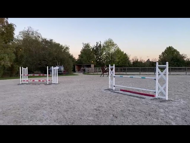 Cheval 9 ans &agrave; vendre 
