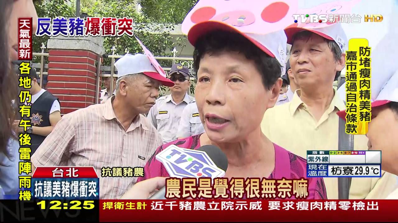 怒衝立法院! 千名豬農抗議美豬進口