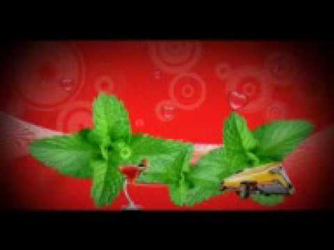 Wizboyy featuring J. Martins - Screensaver