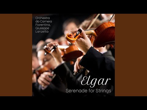Serenade for String Orchestra, Op. 20: III. Allegretto (Live)