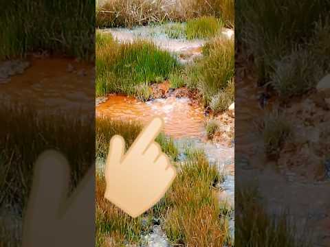 lindo nacimiento de agua olyetas de la laguna del salado chitaga norte de Santander Colombia ♥️🇨🇴💯