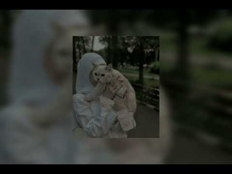 Nasheed Kam-Tashtaki (speed up)