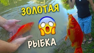 Рыбалка магнитная удачной рыбалки 4 рыбки