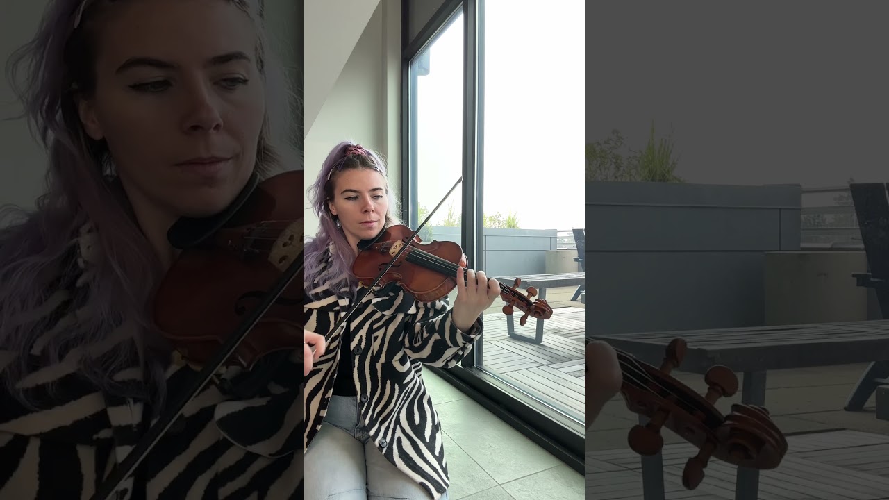Promotional video thumbnail 5 for The Fiddle Fairy