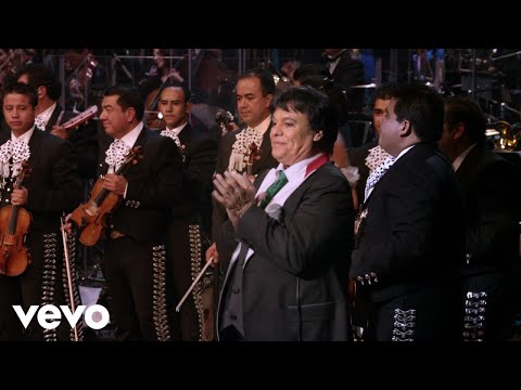 Juan Gabriel - Vienes O Voy (En Vivo Desde Bellas Artes) (Official)