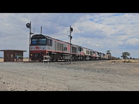 6AM9 SCT up Freighter (4 locos), Penfield to Laverton, 1435, 10/1/25, Dooen VIC