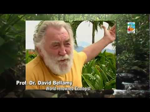 Discover Sabah Borneo Malaysia