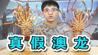 [問卦] 澳龍 紅龍 水姑娘 差異?