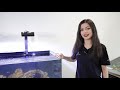 Reef Academy 3 Trailer