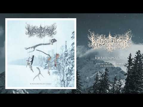 Waldgeflüster - Krähenpsalme feat. Austin // Panopticon (New Track 2025)