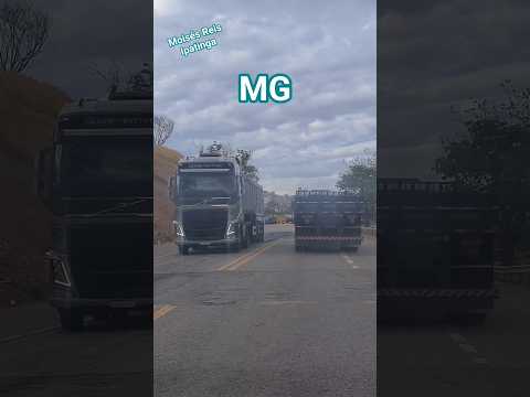 Iapu Minas Gerais #shorts