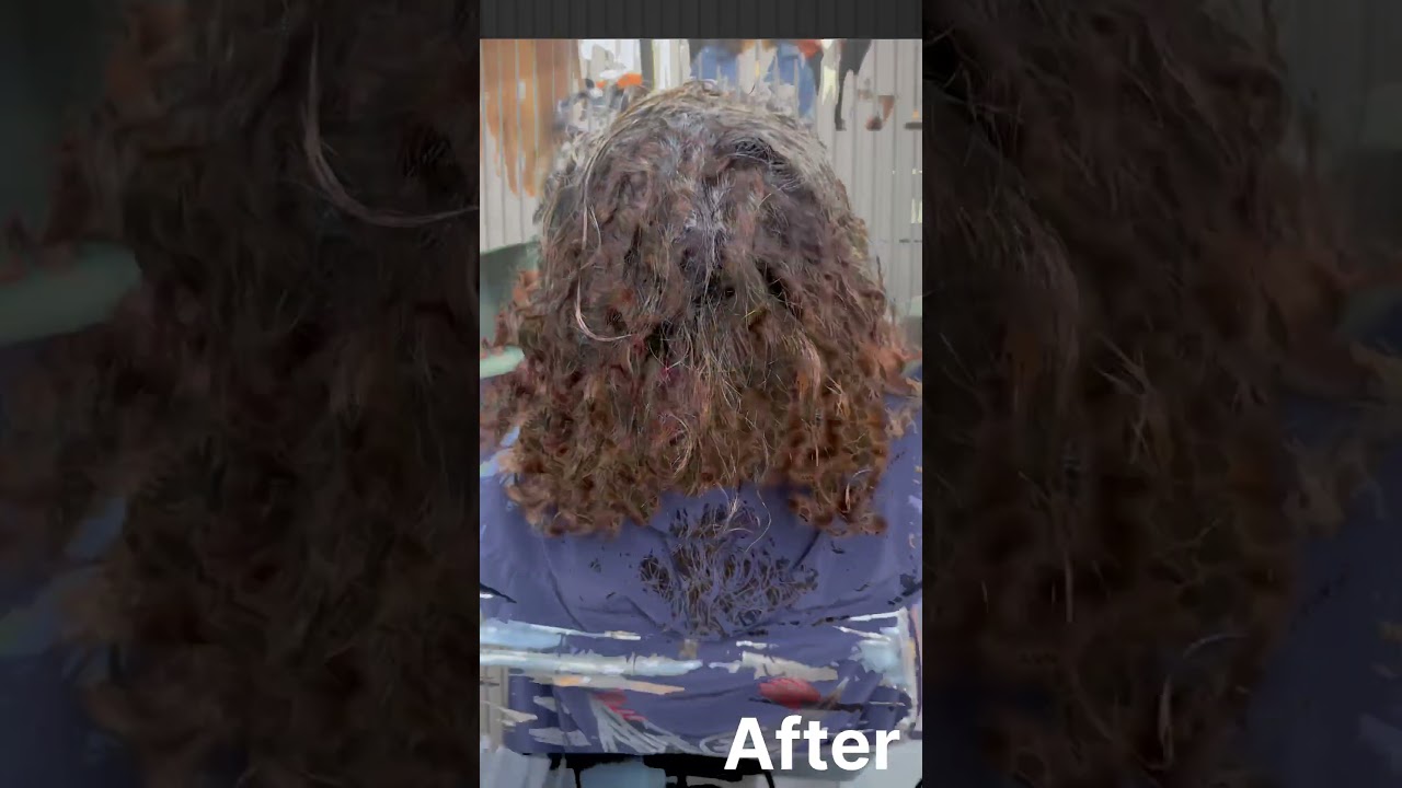 Curly Undercut