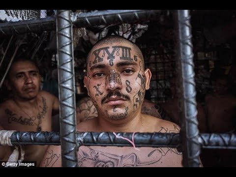 18 Steet  Gang  El Salvador | deported gang members | SF TV