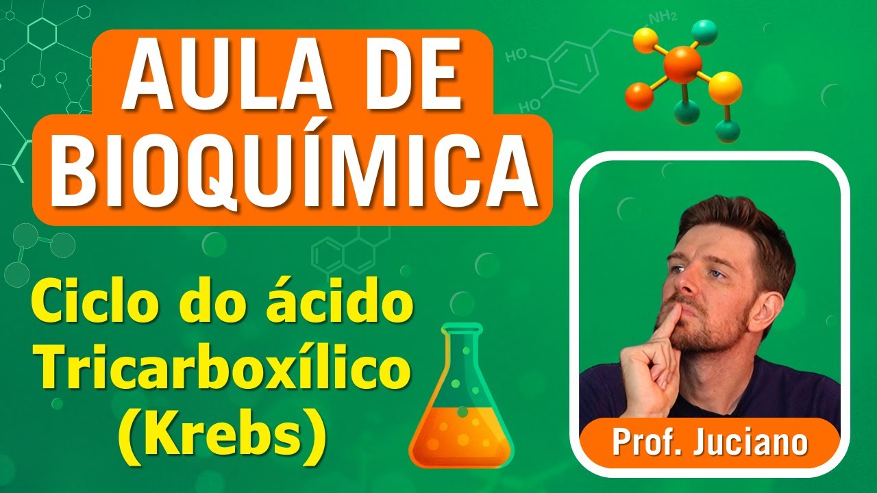 Ciclo da ácido tricarboxílico (ciclo de Krebs). Aula de Bioquímica.