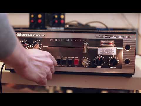 Dynacord Echocord Super 76 Spring Reverb / Tape Echo / Serviced by Bobby Staedel / Demo Video! image 11