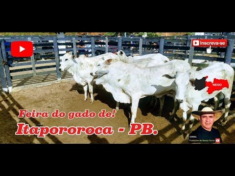 FEIRA DO GADO DE ITAPOROROCA - PB REFERÊNCIA NO VALE DO MAMANGUAPE.✅25/08/2025✅