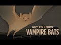The Case For Vampire Bats