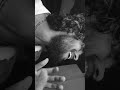Yemi Cheyamanduve Priyuralu Pilichindi Cover By Yogesh
