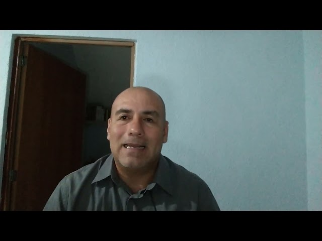 Vídeo relacionado con Tulipanes salvajes