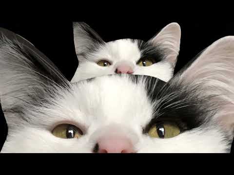 Ruby Weapon Hour - Disco Elysium! (Part 17)