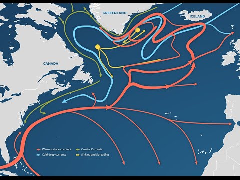 Climate Change and Ocean Circulation Systems