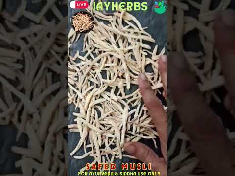 Chlorophytum borivilianum safed musli root powder