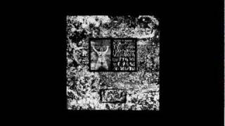 Die Form - Medial Canthus Operation