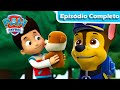 The Paw Patrol Finds Rubble Full Episode Paw Patrol PAW Patrol Portuguese Episode
