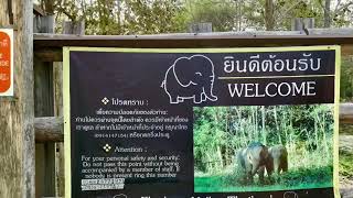preview picture of video 'Elephant Valley Thailand, Chiang Rai'