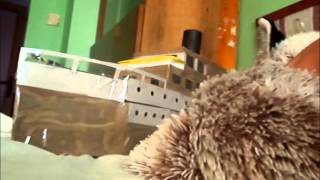 Video vs Dj sivr- imerx hardtekk song