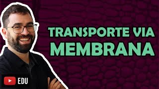 Transporte Via Membrana Plasmática - Aula 19 - Módulo I: Biologia Celular | Prof. Gui