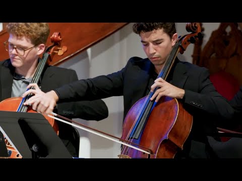 Gabriel Martins plays Piazzolla Four Seasons Cello Solo