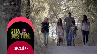 Thumbnail del capítulo