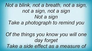 Something For Kate - Photograph Lyrics