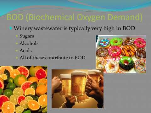 Winery Wastewater Management