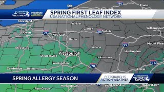 Is spring allergy season off to an early start