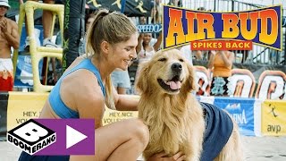 Download lagu Animaux-sitting | Air Bud Superstar | Boomerang mp3