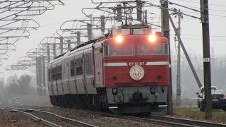 列車番号????　快速EL村上ひな街道号#1　(EF81-97)  羽越本線　60P　19/03/23