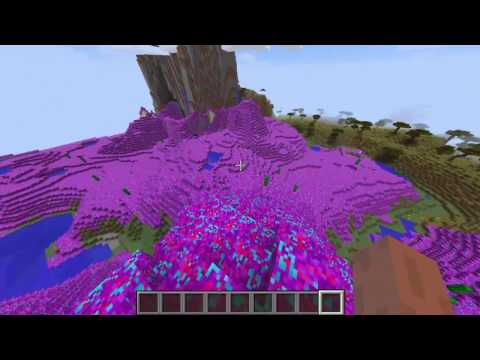 Tynker Block Editor