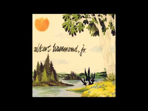 Albert Hammond Jr - Yours to Keep [Full Album]